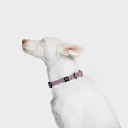 Obroża BioThane Ipanema Lilac Cloud7 Berlin — wodoodporna | ventisei&Co.