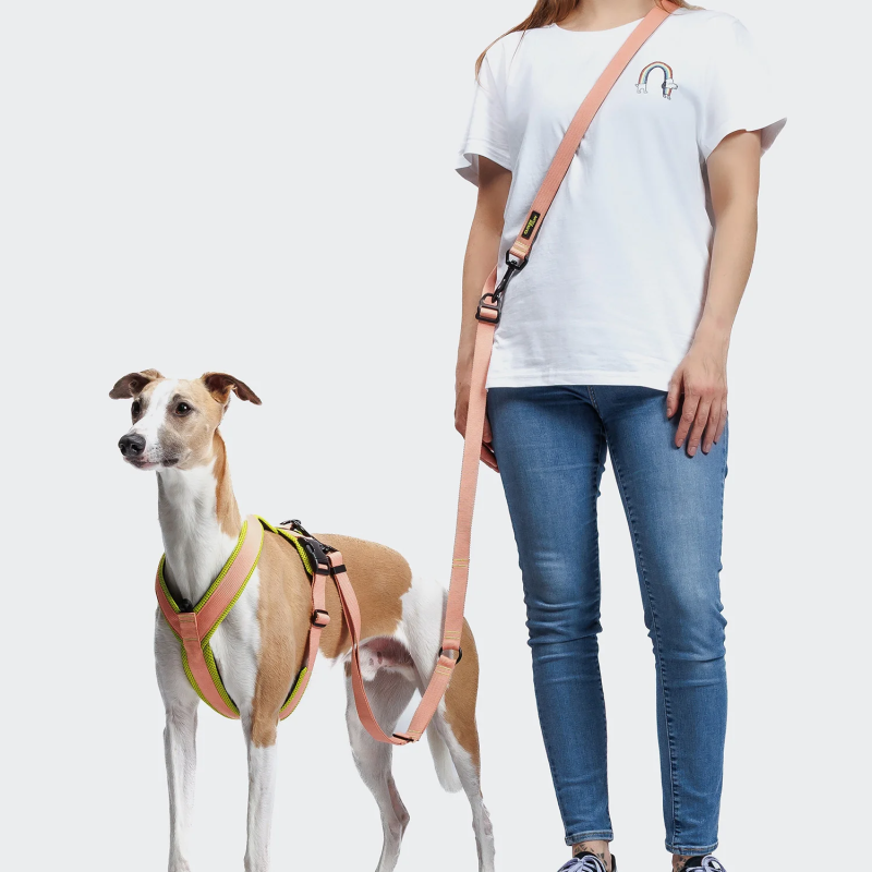 Smycz bezuchwytowa L-1 AKTIV Peach Cloud7 Berlin | ventisei&Co.