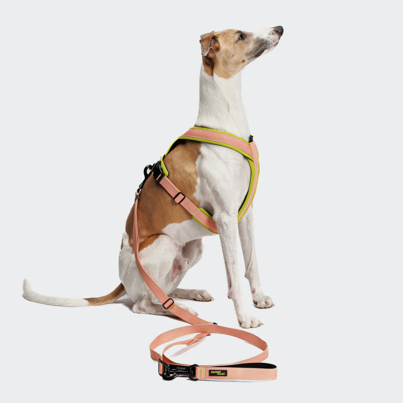 Smycz bezuchwytowa L-1 AKTIV Peach Cloud7 Berlin | ventisei&Co.