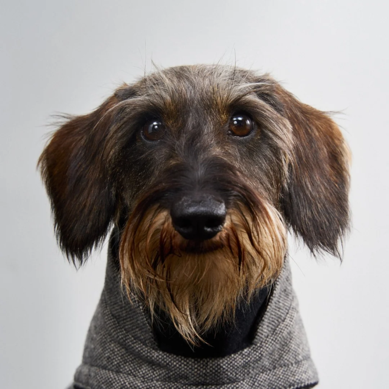 Płaszcz zimowy Brooklyn Tweed Black Cloud7 Berlin — ciepły, wodoodporny | ventisei&Co.