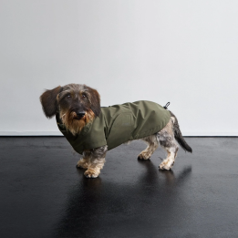 Płaszcz przeciwdeszczowy Dublin 2.0 Dark Olive dla jamnika | ventisei&Co.