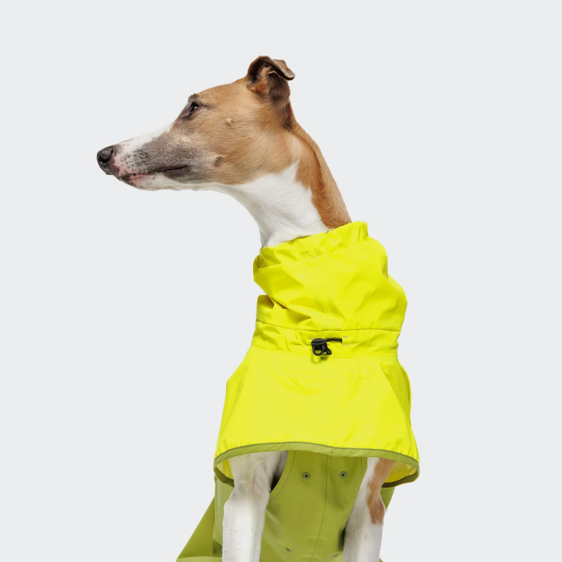 Płaszcz przeciwdeszczowy AKTIV Neon Green/Light Olive Cloud7 — 10 000 mm słupka wody | ventisei&Co.