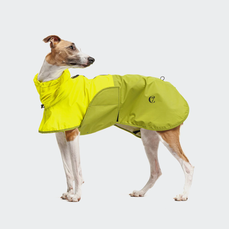 Płaszcz przeciwdeszczowy AKTIV Neon Green/Light Olive Cloud7 — 10 000 mm słupka wody | ventisei&Co.