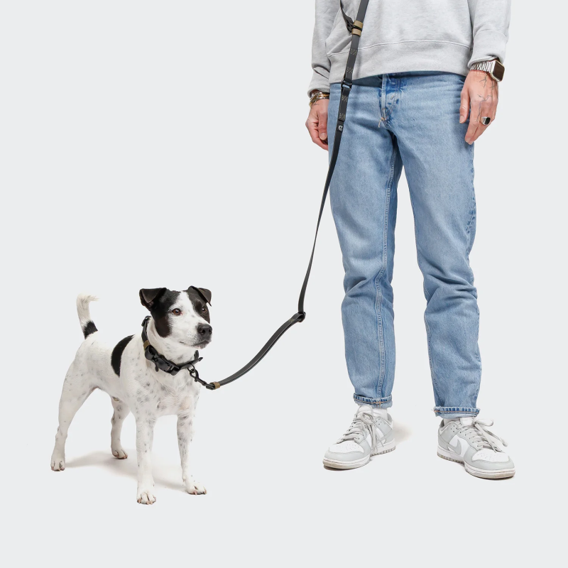 Smycz bezuchwytowa BioThane Ipanema Black-Olive | Cloud7 Berlin — ventisei&Co.
