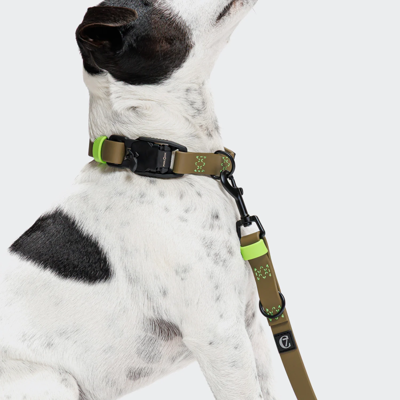 Smycz regulowana BioThane Ipanema Olive-Neongreen | Cloud7 Berlin — ventisei&Co.