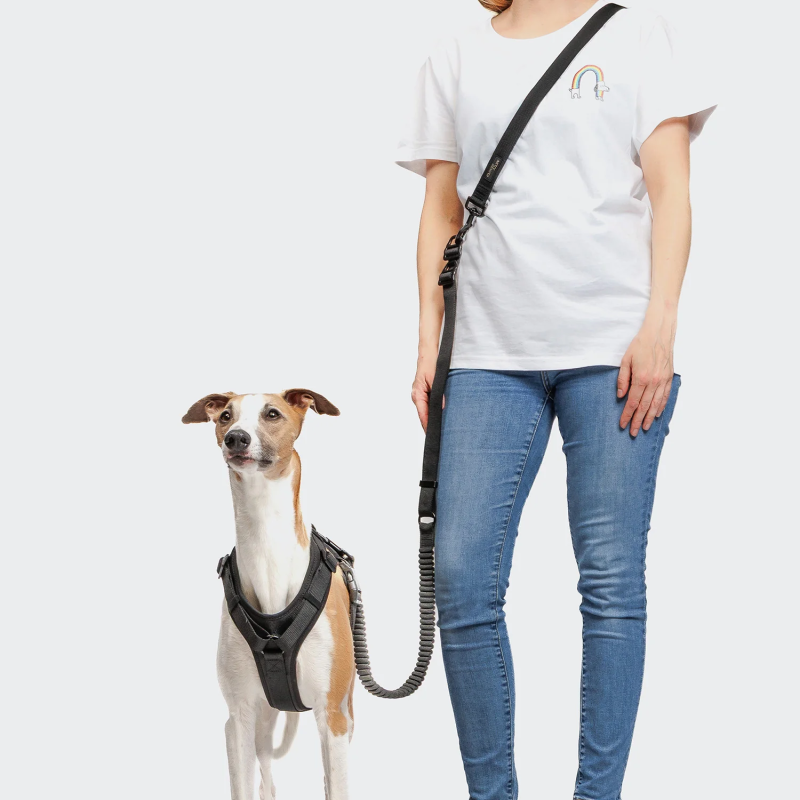 Smycz do joggingu L-2 AKTIV Black - L | Cloud7 Berlin — ventisei&Co.