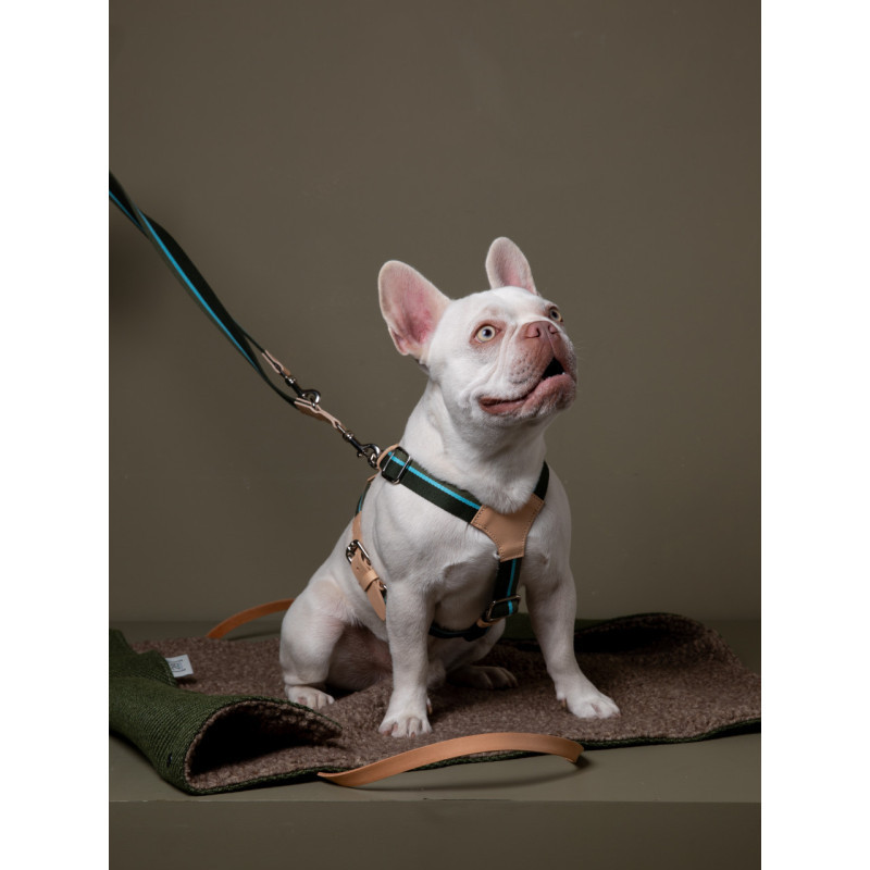 Szelki Franco 2.8 Design for Dogs Green Stripes — na psie