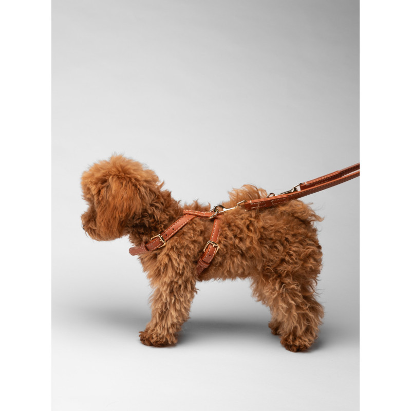 Szelki Gabriele 2.8 Design for Dogs Saddle Brown — na psie