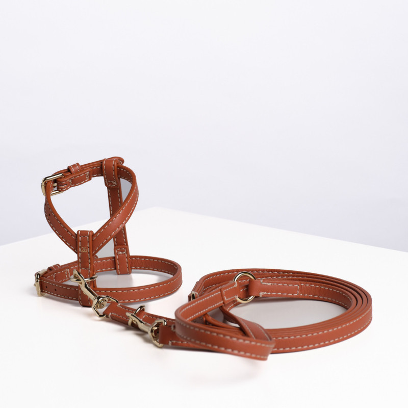 Smycz Gabriele Saddle Brown — komplet ze szelkami