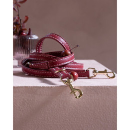 Smycz Gabriele 2.8 Design for Dogs Cherry Noir