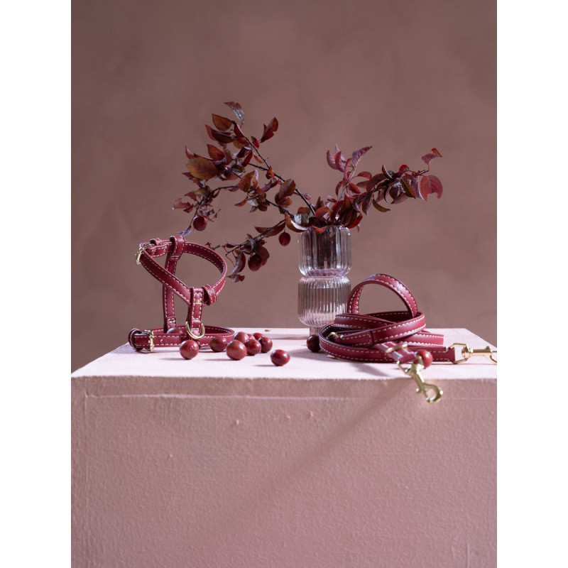 Smycz Gabriele Cherry Noir — komplet ze szelkami