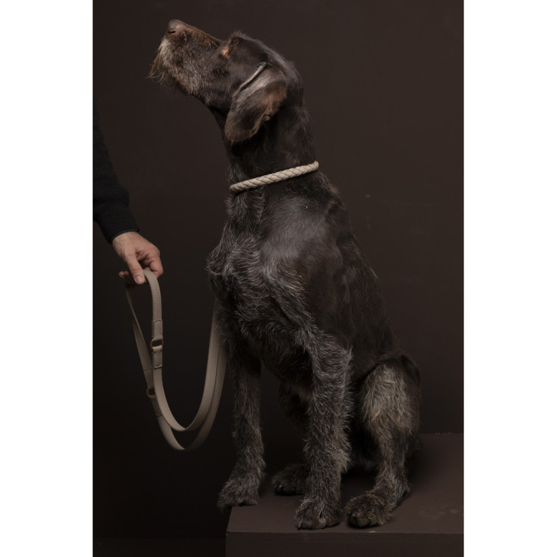 Obroża Ferdinando 2.8 Design for Dogs Lazy Taupe — na spacerze