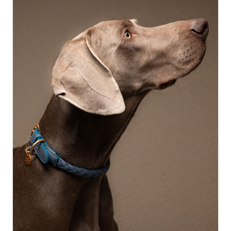 Obroża Ferdinando 2.8 Design for Dogs Dusty Blue — na psie