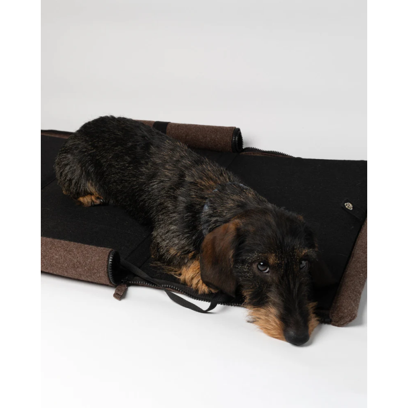 2.8 Gianni Torba Nomad 2.8 Design for Dogs | ventisei&Co.