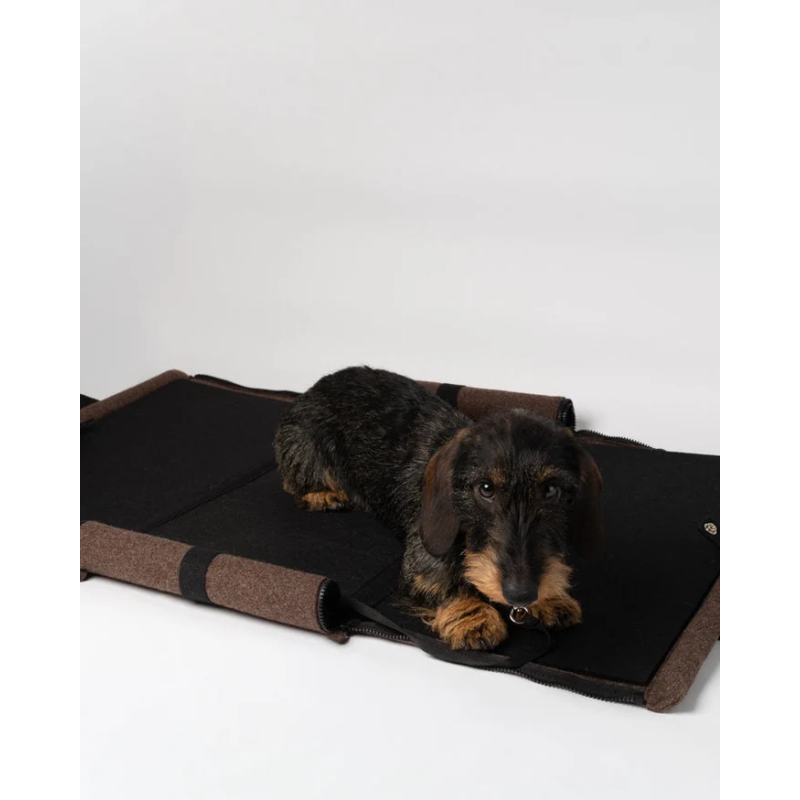 2.8 Gianni Torba Nomad 2.8 Design for Dogs | ventisei&Co.