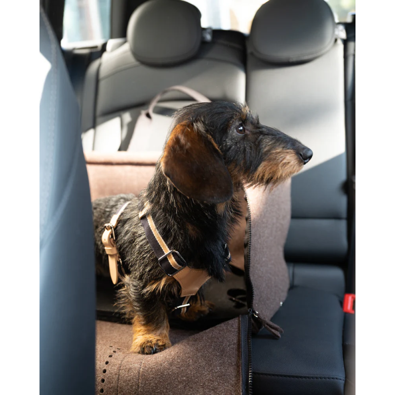 2.8 Gianni Torba Nomad 2.8 Design for Dogs | ventisei&Co.