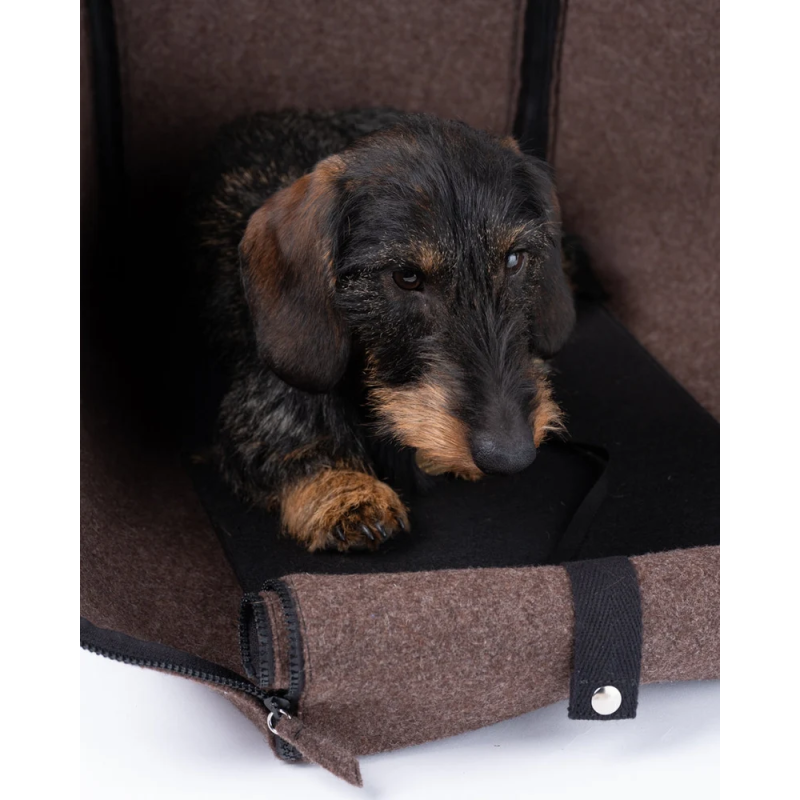 2.8 Gianni Torba Nomad 2.8 Design for Dogs | ventisei&Co.