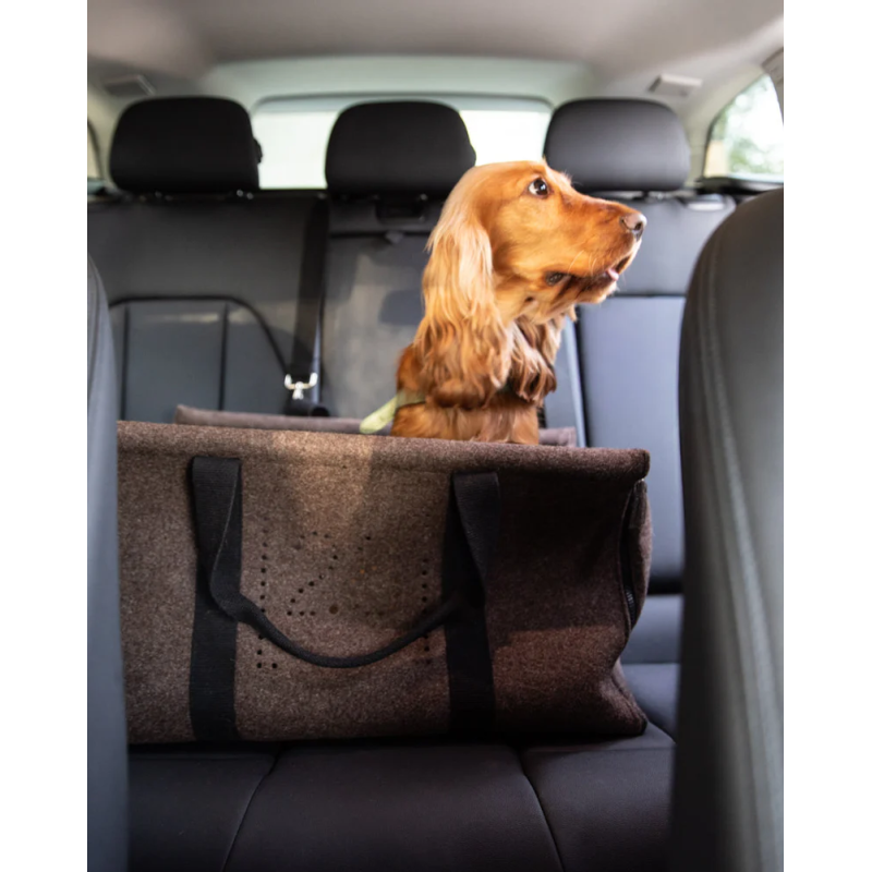 2.8 Gianni Torba Nomad 2.8 Design for Dogs | ventisei&Co.