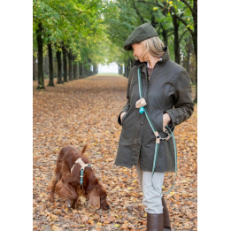 2.8 Franco Smycz Green Stripes 2.8 Design for Dogs | ventisei&Co.