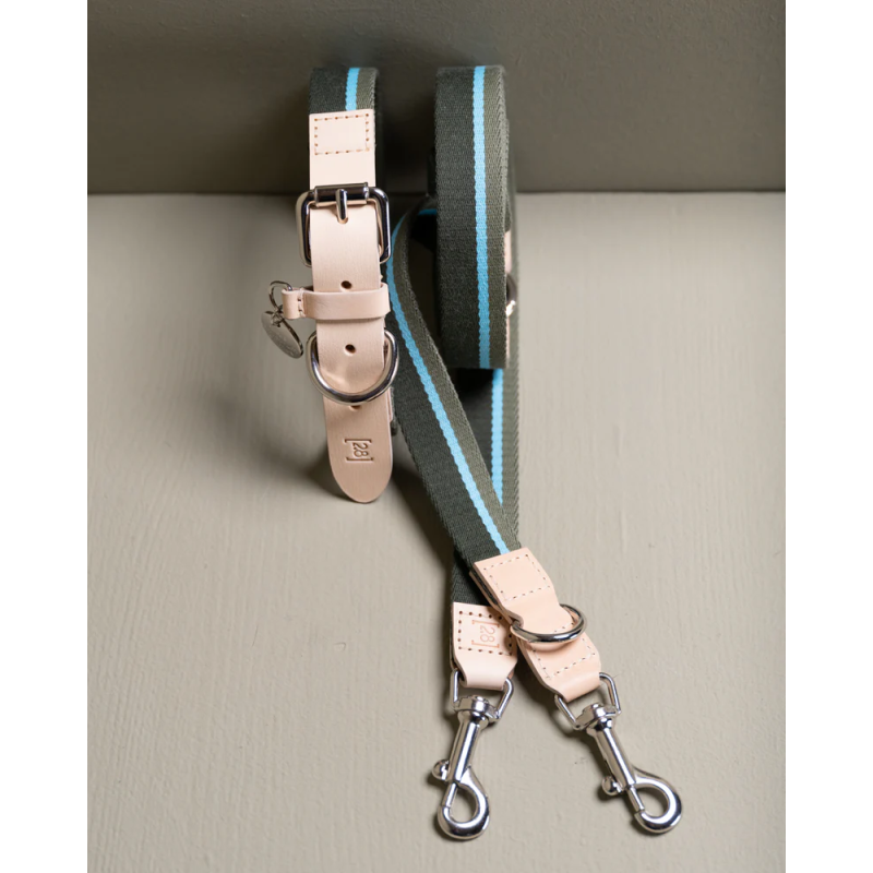2.8 Franco Smycz Green Stripes 2.8 Design for Dogs | ventisei&Co.