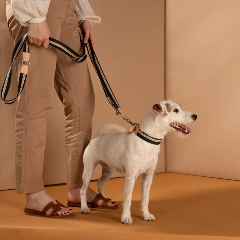 2.8 Franco Smycz Blue Stripes 2.8 Design for Dogs | ventisei&Co.