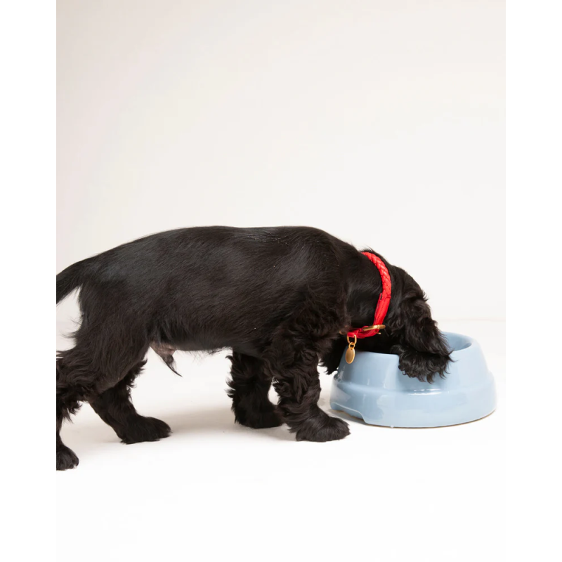 2.8 Sebastiao Miska Morning Blue Diam 15 2.8 Design for Dogs | ventisei&Co.