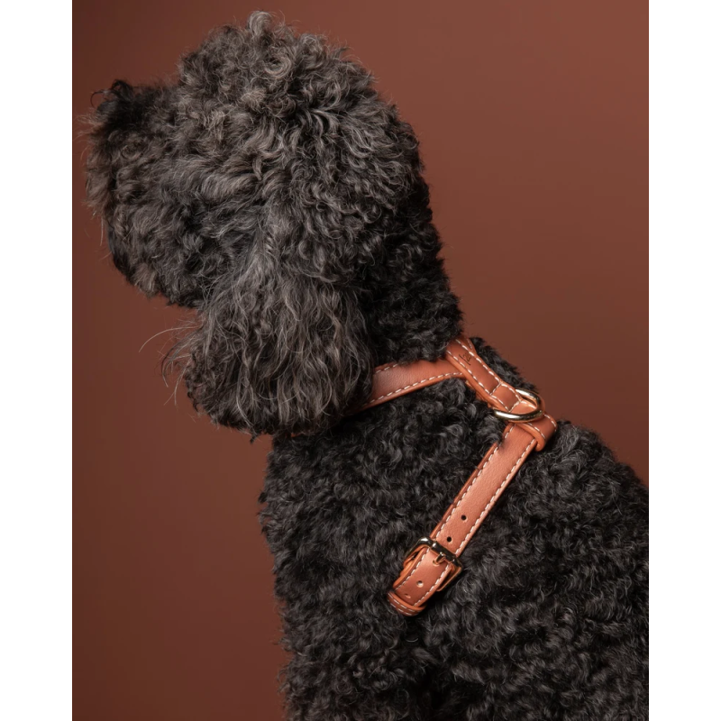 Szelki Gabriele Saddle Brown 2.8 Design for Dogs — skóra Nappa | ventisei&Co.