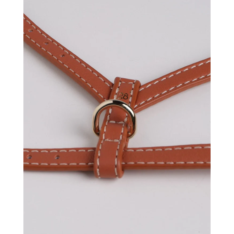 Szelki Gabriele Saddle Brown 2.8 Design for Dogs — skóra Nappa | ventisei&Co.