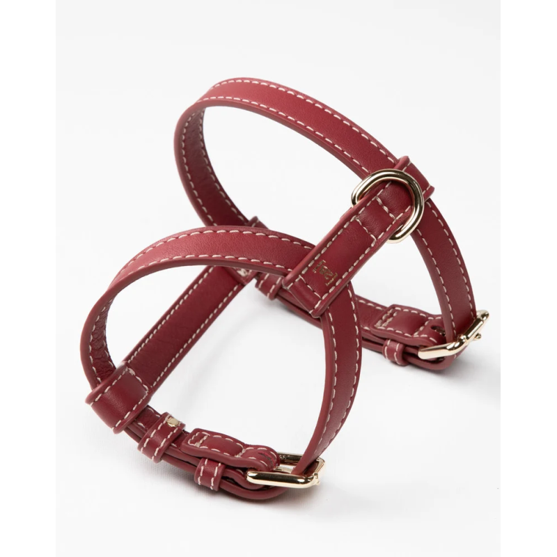 Szelki Gabriele Cherry Noir 2.8 Design for Dogs — skóra Nappa | ventisei&Co.