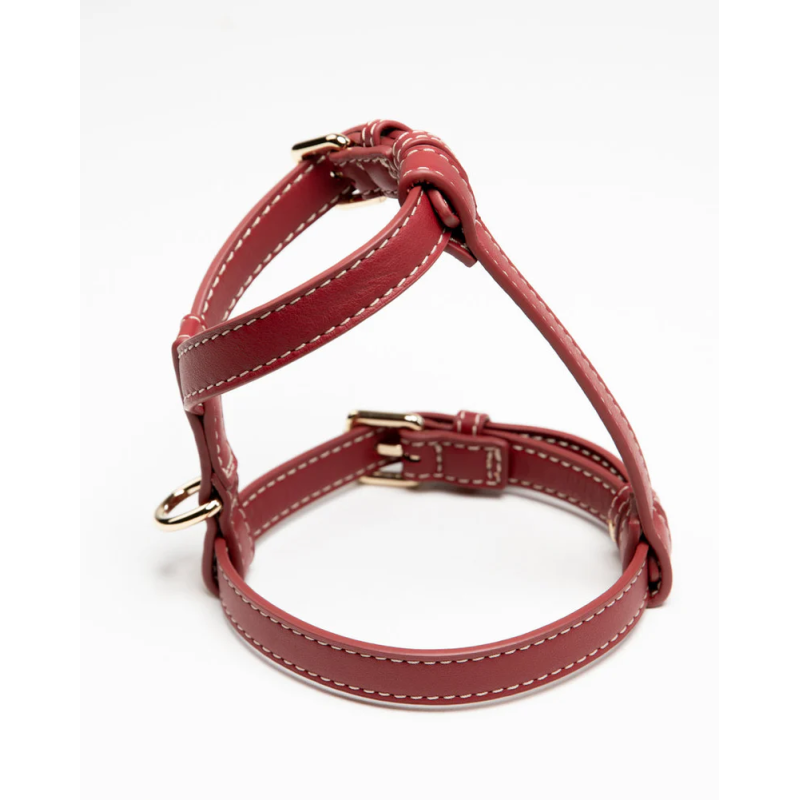 Szelki Gabriele Cherry Noir 2.8 Design for Dogs — skóra Nappa | ventisei&Co.