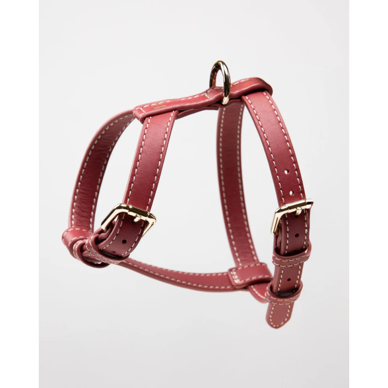 Szelki Gabriele Cherry Noir 2.8 Design for Dogs — skóra Nappa | ventisei&Co.