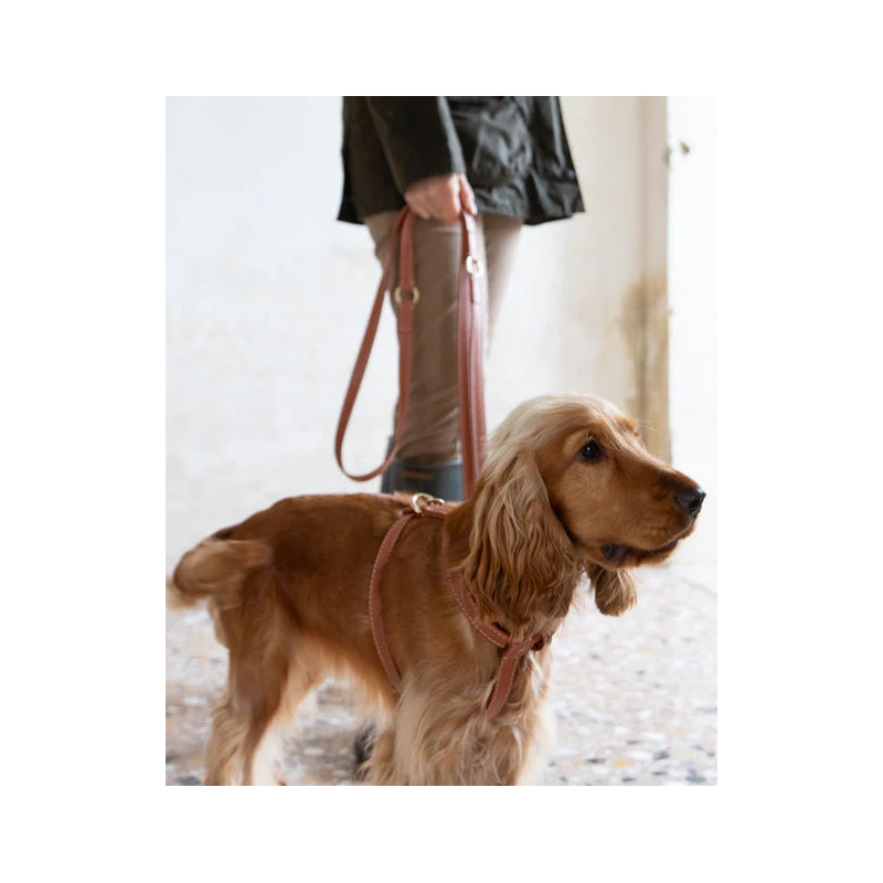 Smycz Gabriele Saddle Brown 2.8 Design for Dogs — skóra Nappa | ventisei&Co.