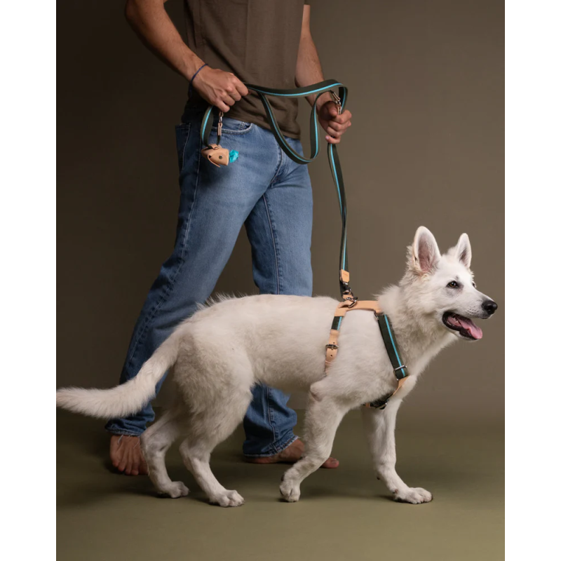 Szelki Franco Green Stripes 2.8 Design for Dogs | ventisei&Co.