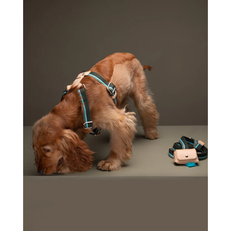 Szelki Franco Green Stripes 2.8 Design for Dogs | ventisei&Co.