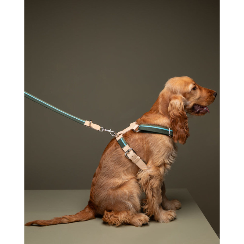 Szelki Franco Green Stripes 2.8 Design for Dogs | ventisei&Co.