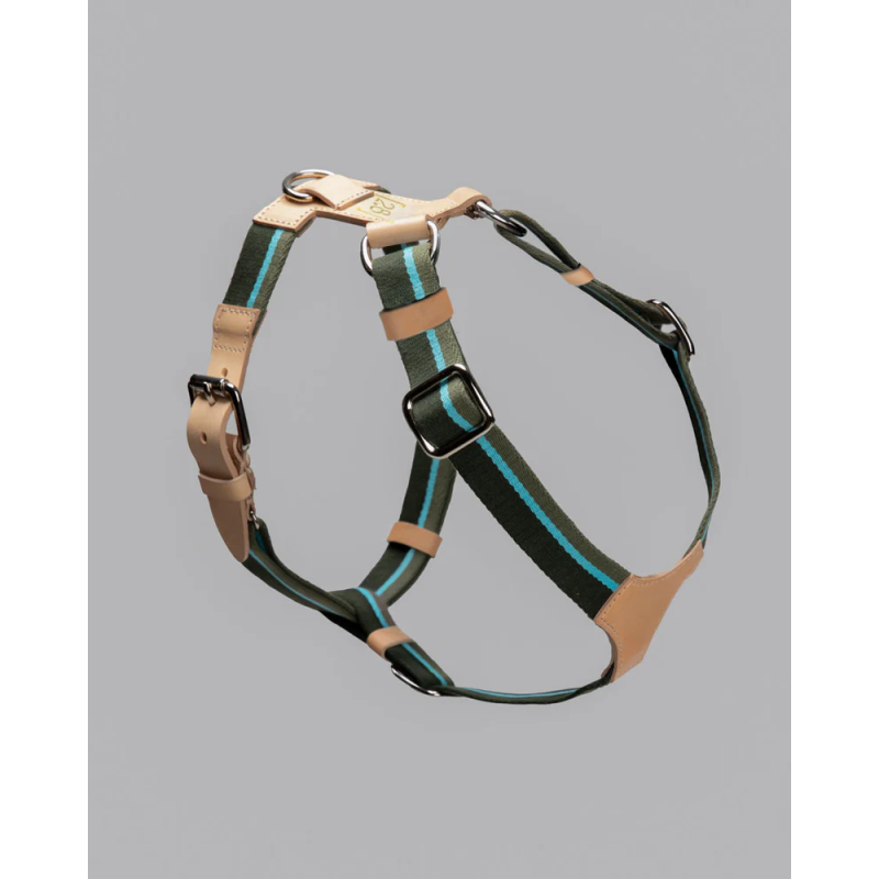 Szelki Franco Green Stripes 2.8 Design for Dogs | ventisei&Co.