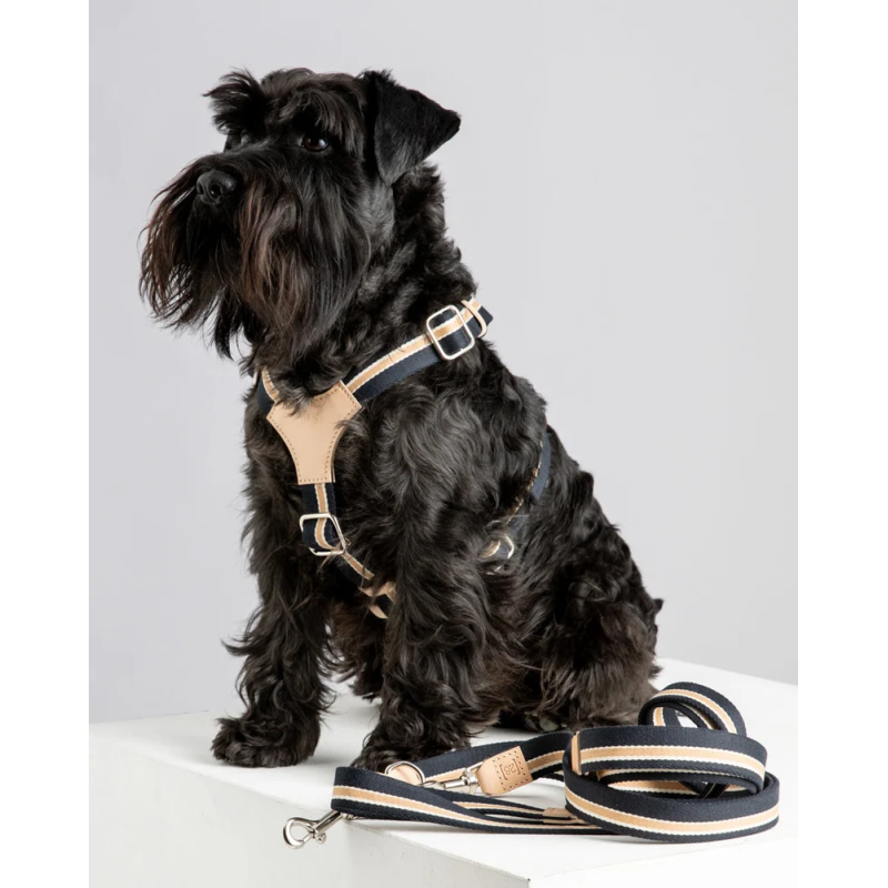 Szelki Franco Blue Stripes 2.8 Design for Dogs | ventisei&Co.