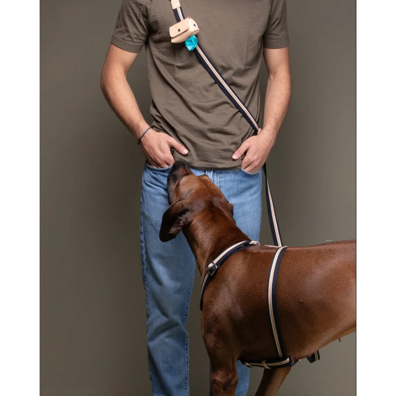 Szelki Franco Blue Stripes 2.8 Design for Dogs | ventisei&Co.