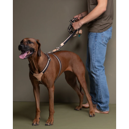 Szelki Franco Blue Stripes 2.8 Design for Dogs | ventisei&Co.