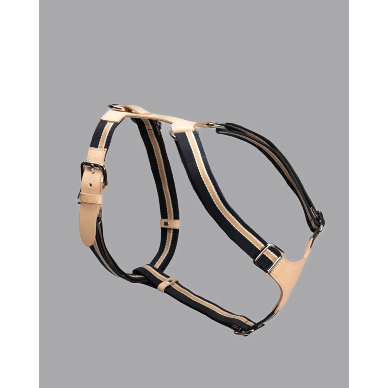 Szelki Franco Blue Stripes 2.8 Design for Dogs | ventisei&Co.