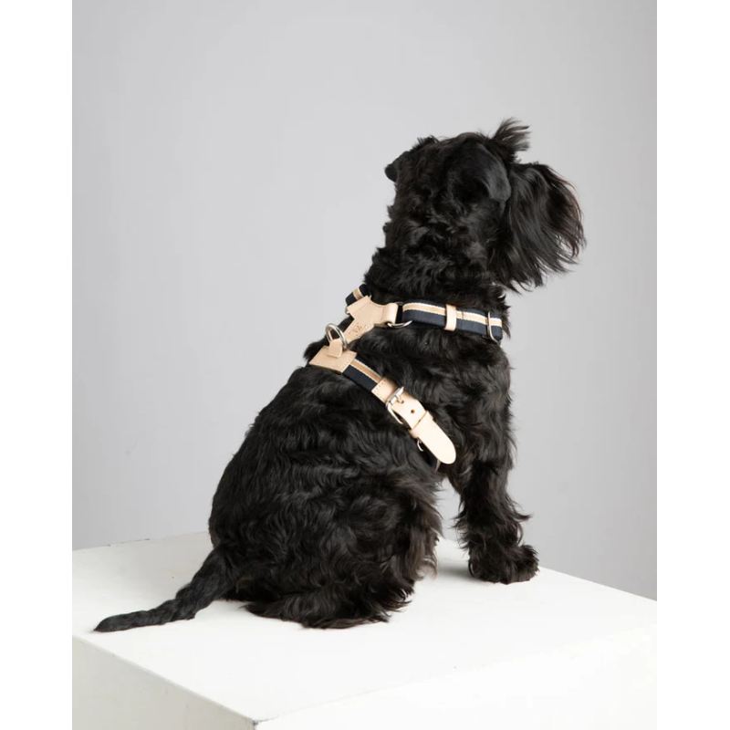 Szelki Franco Blue Stripes 2.8 Design for Dogs | ventisei&Co.