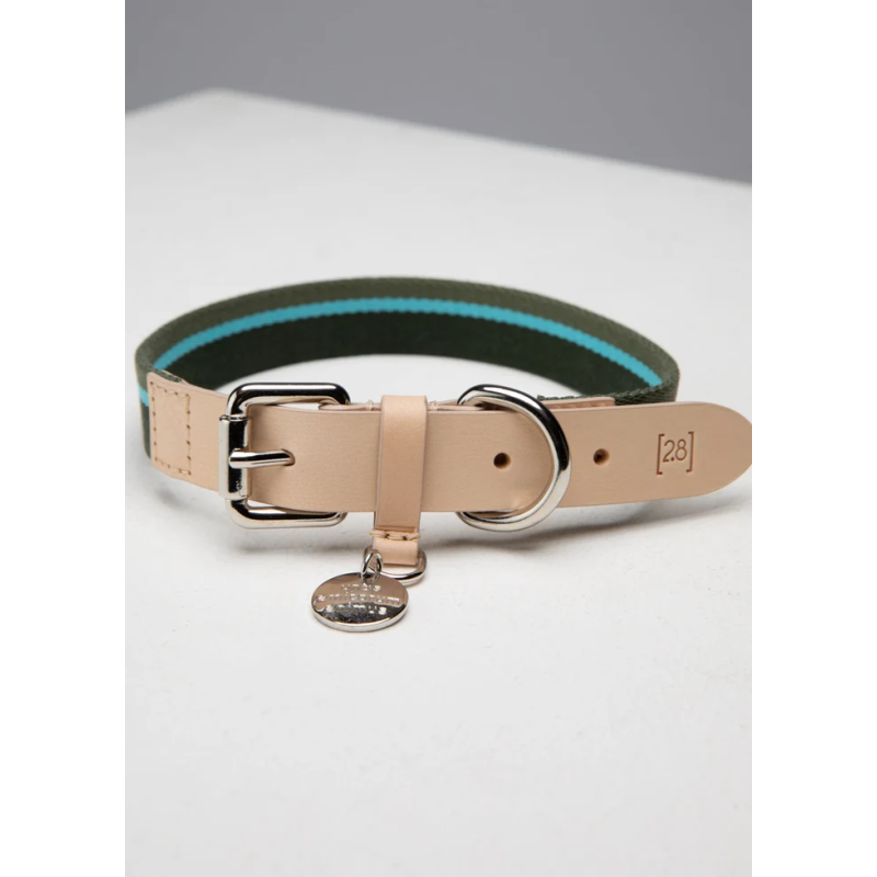 Obroża Franco Green Stripes 2.8 Design for Dogs | ventisei&Co.