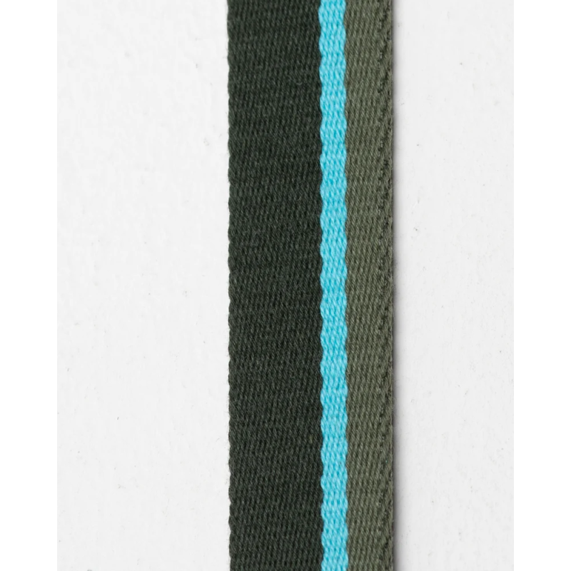Obroża Franco Green Stripes 2.8 Design for Dogs | ventisei&Co.