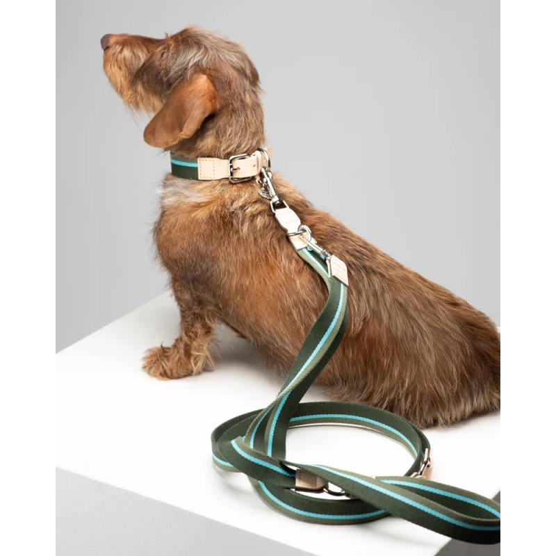 Obroża Franco Green Stripes 2.8 Design for Dogs | ventisei&Co.
