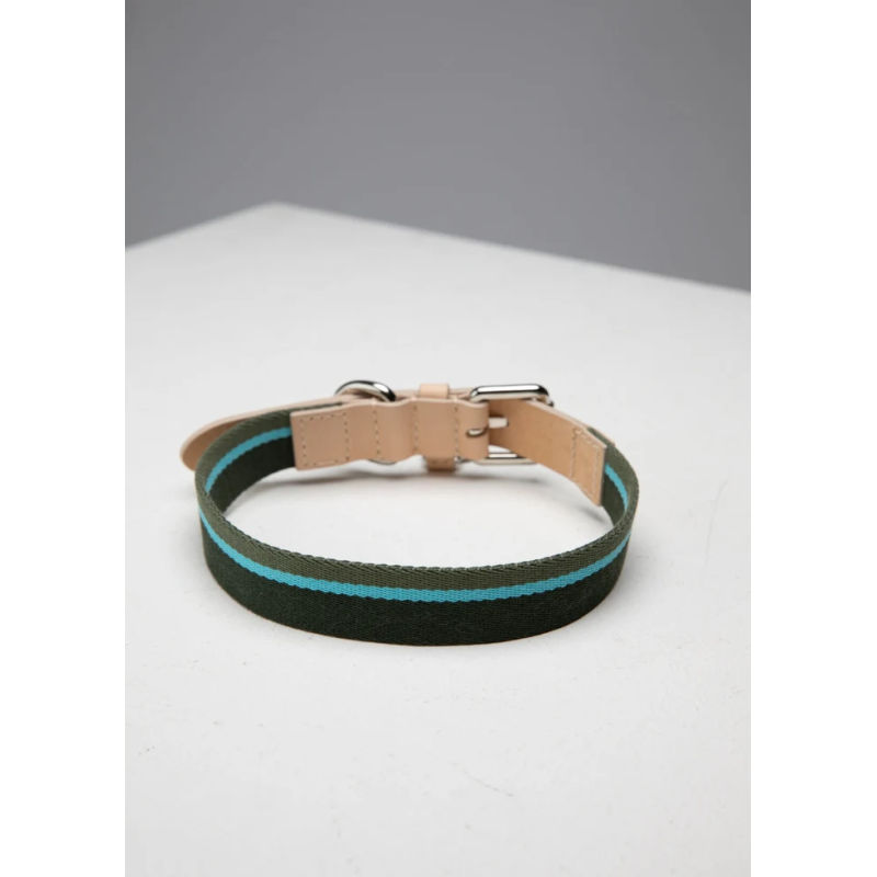Obroża Franco Green Stripes 2.8 Design for Dogs | ventisei&Co.
