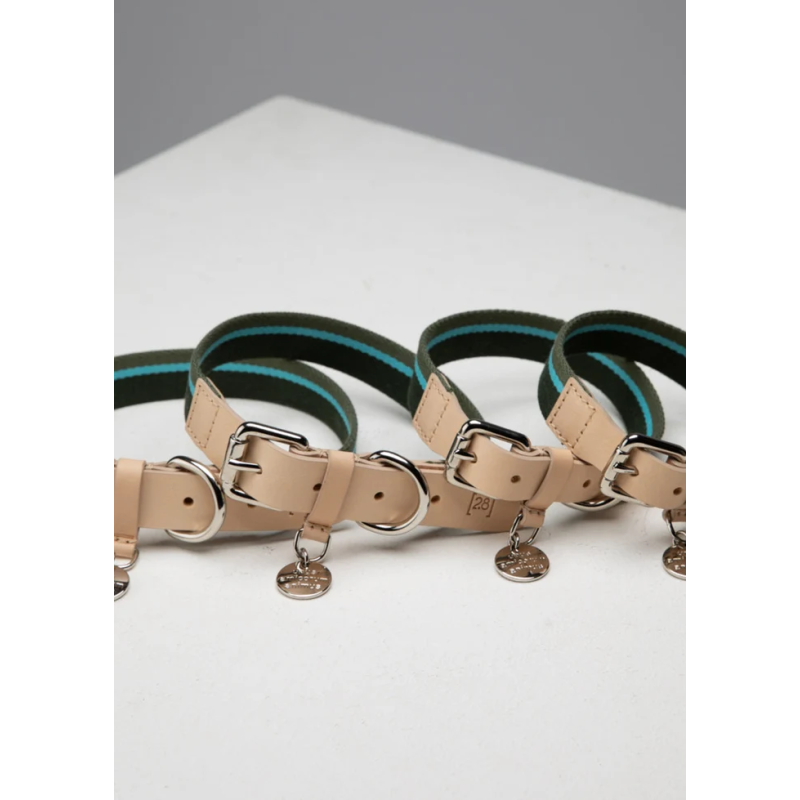 Obroża Franco Green Stripes 2.8 Design for Dogs | ventisei&Co.