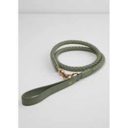 Smycz Ferdinando 2.8 Design for Dogs Barena Green
