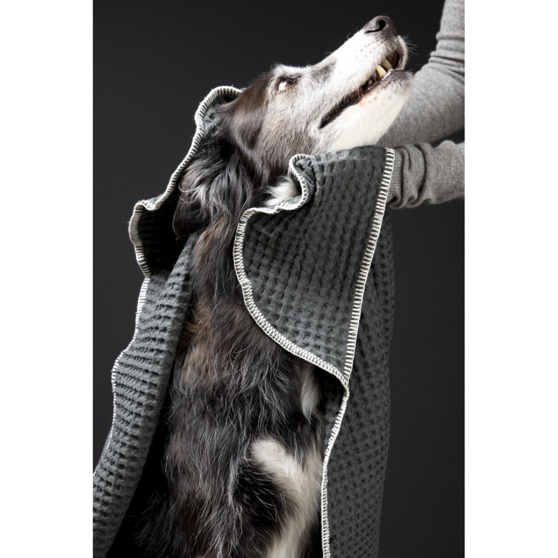 Ręcznik Sally Dotto 2.8 Design for Dogs — z psem