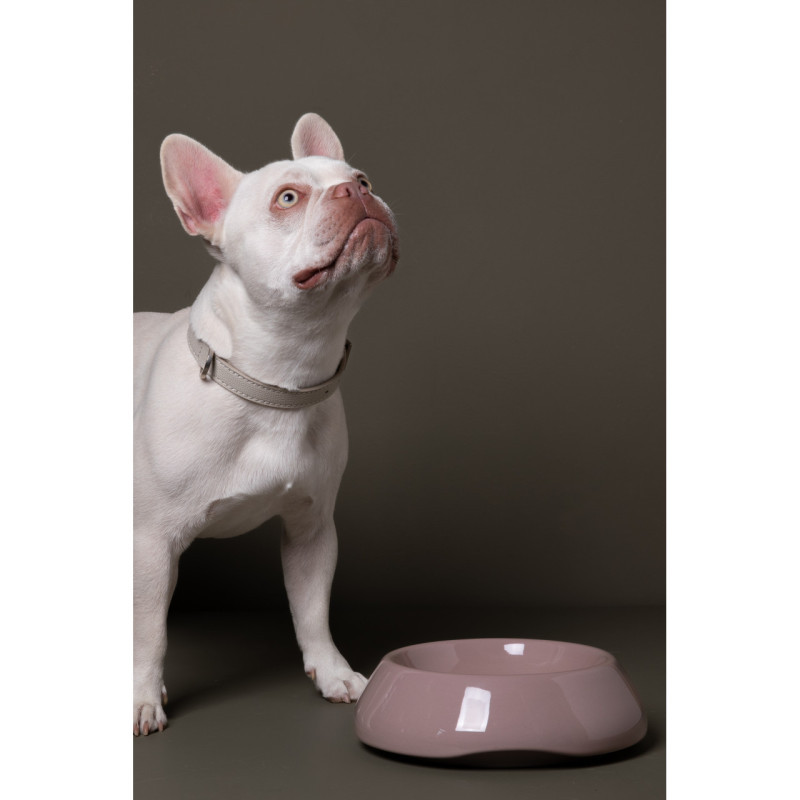 Miska Sarah 2.8 Design for Dogs Dusty Pink — z psem