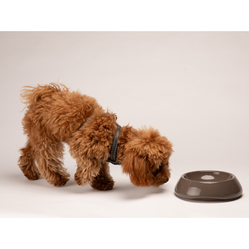 Miska Sarah 2.8 Design for Dogs Mud — z psem